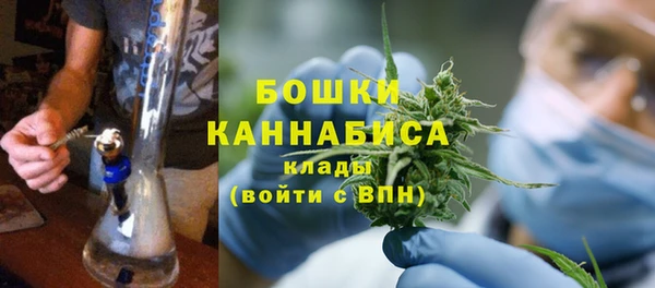PSILOCYBIN Абдулино