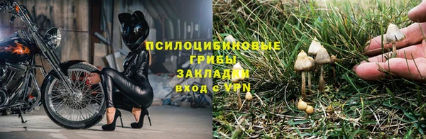 apvp Алексин