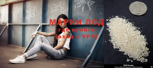 PSILOCYBIN Абдулино